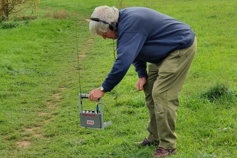 800x533 pixels (240K)